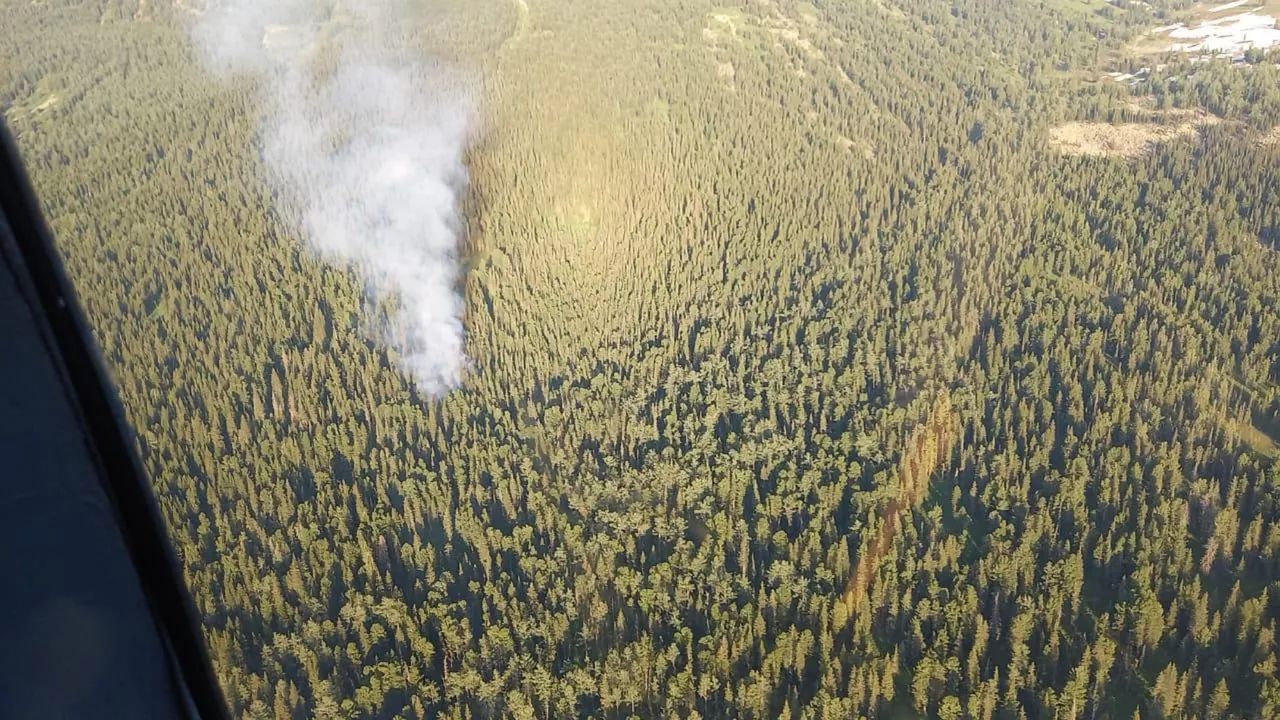 Систему раннего обнаружения лесных пожаров запустят в Казахстане